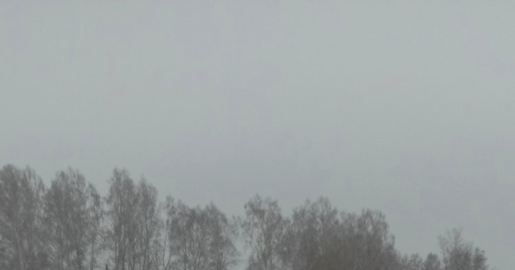 Загар)) - Картинки и фото рыбаков