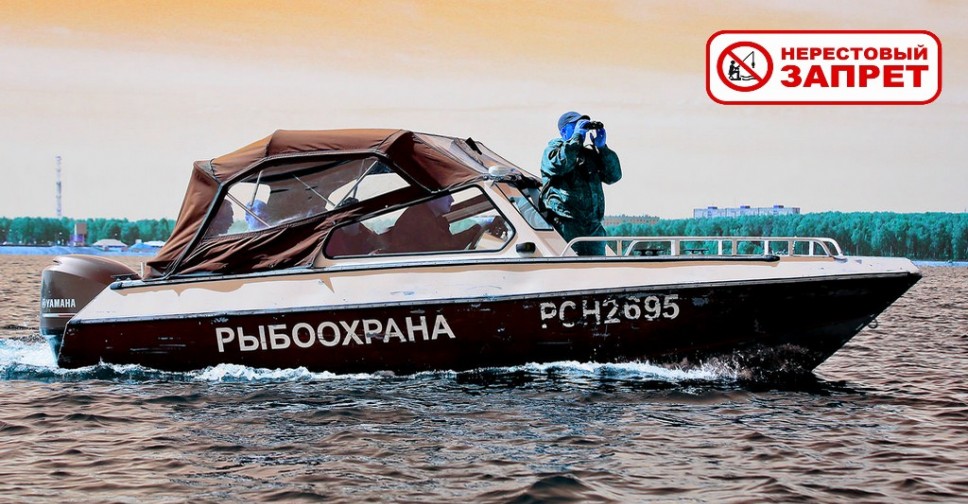 www.fishingsib.ru