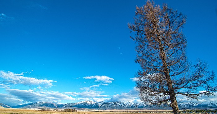 с.Курай, Горный Алтай - фото.